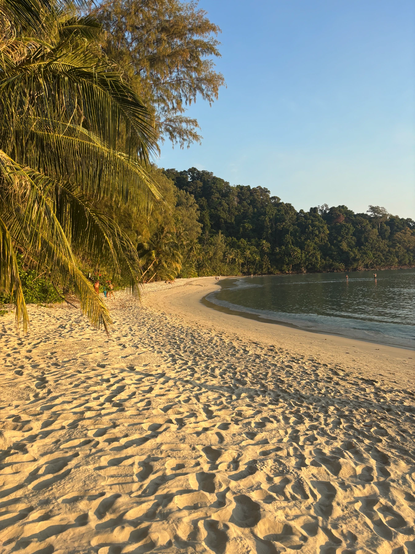 Pusta, złocista plaża Ao Jark Bay na spokojnej i rajskiej wyspie Koh Kood w Tajlandii przed zachodem słońca