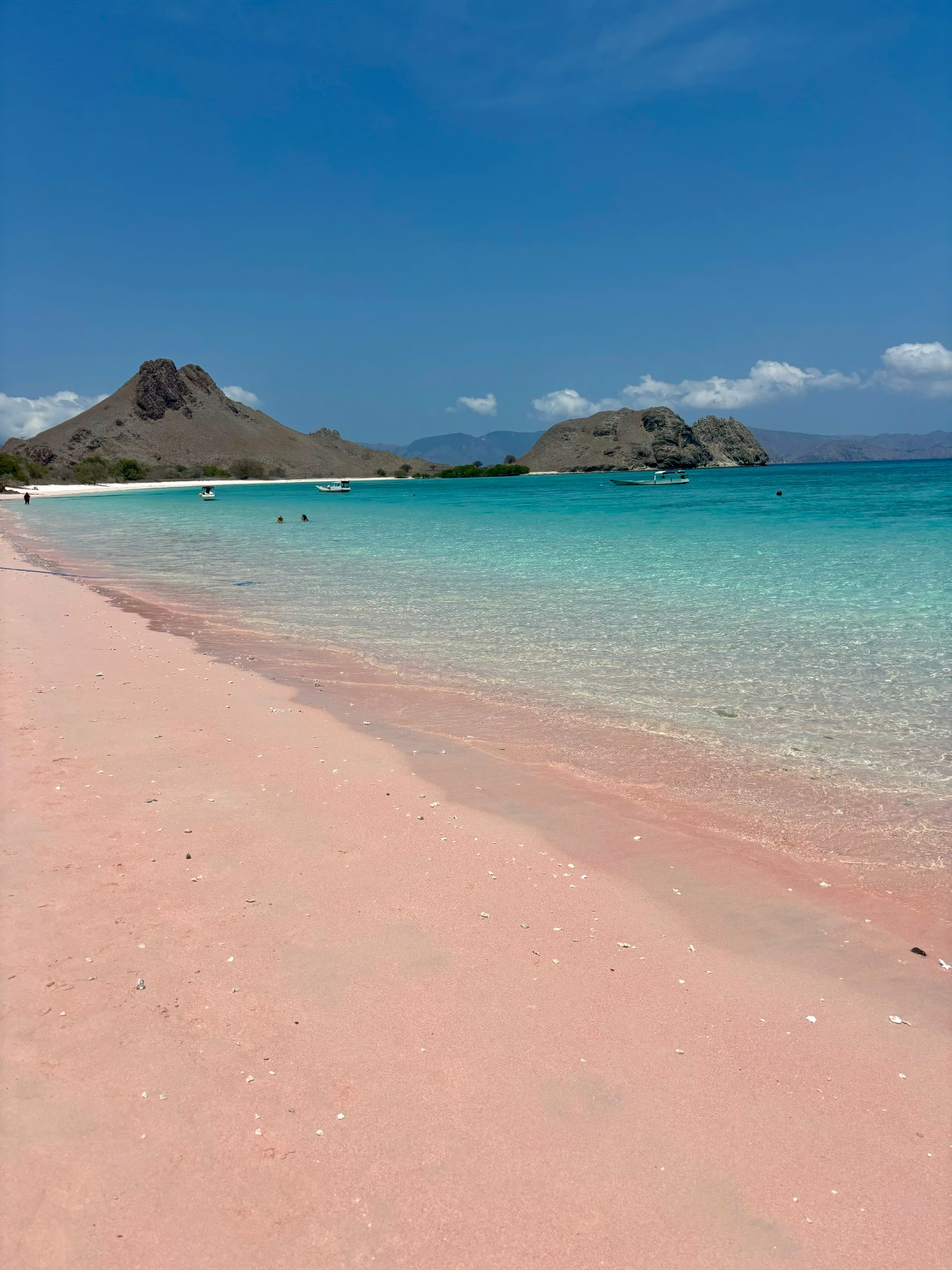 Pink Beach Indonezja