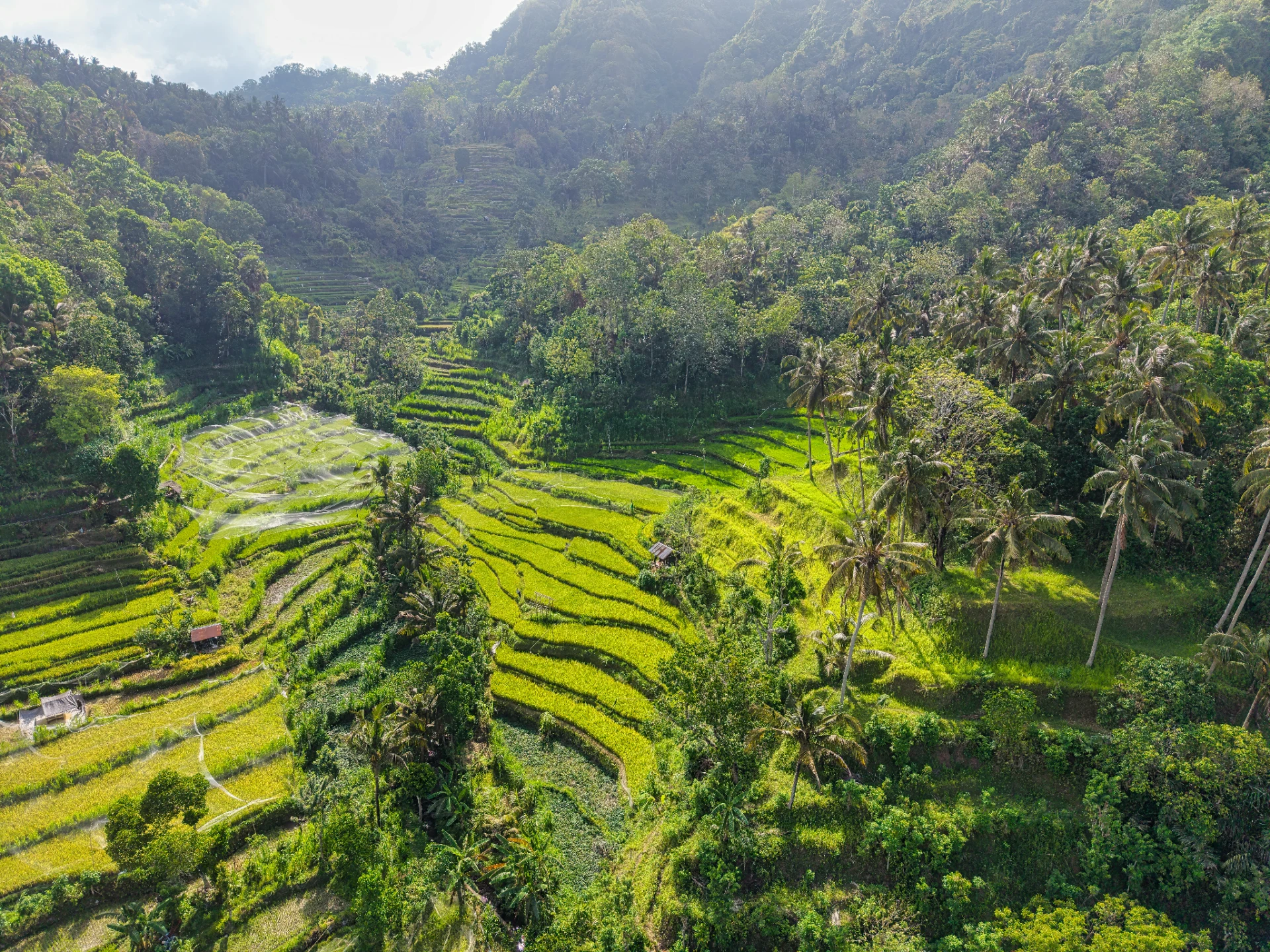 Bali